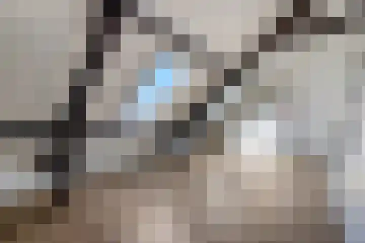 Graaf van Lynden van Sandenburgweg 3 20 Wijk bij Duurstede thumbnail 5