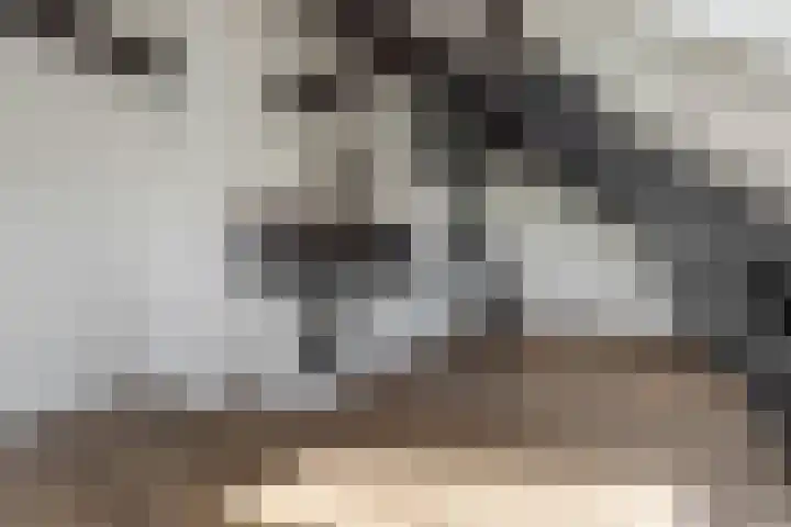 Graaf van Lynden van Sandenburgweg 3 20 Wijk bij Duurstede thumbnail 7