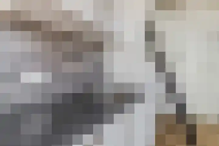Graaf van Lynden van Sandenburgweg 3 20 Wijk bij Duurstede thumbnail 8