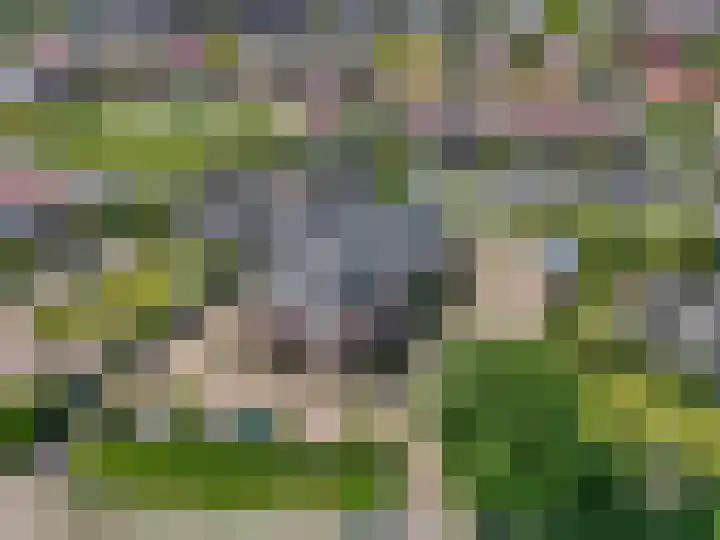 Graaf van Lynden van Sandenburgweg 3 21 Wijk bij Duurstede thumbnail 14