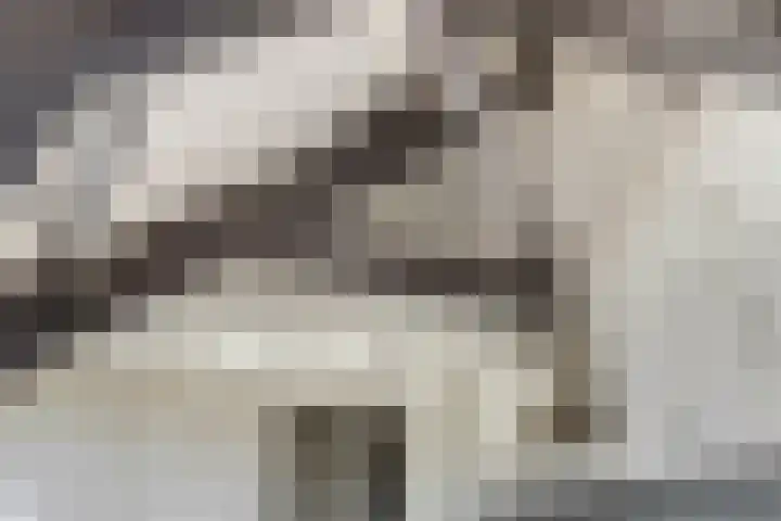 Graaf van Lynden van Sandenburgweg 3 21 Wijk bij Duurstede thumbnail 5