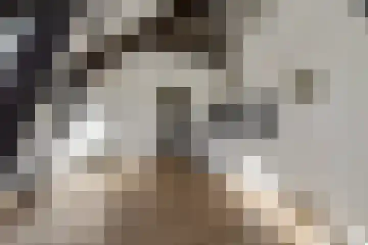 Graaf van Lynden van Sandenburgweg 3 21 Wijk bij Duurstede thumbnail 7