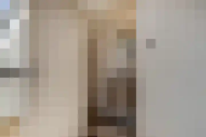 Graaf van Lynden van Sandenburgweg 3 21 Wijk bij Duurstede thumbnail 8