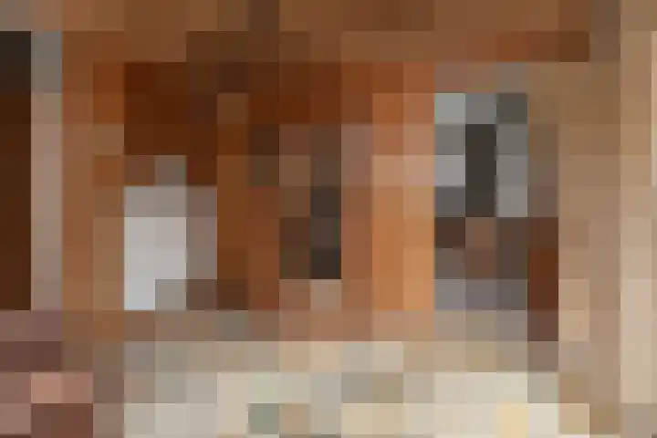 Graaf van Lyndenlaan 3 Barneveld thumbnail 10