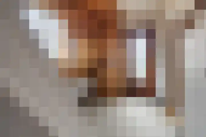 Graaf van Lyndenlaan 3 Barneveld thumbnail 19