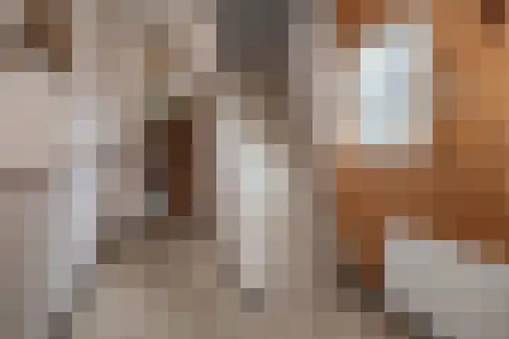 Graaf van Lyndenlaan 3 Barneveld thumbnail 20