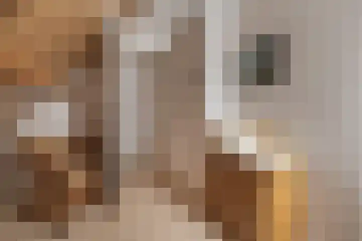 Graaf van Lyndenlaan 3 Barneveld thumbnail 28