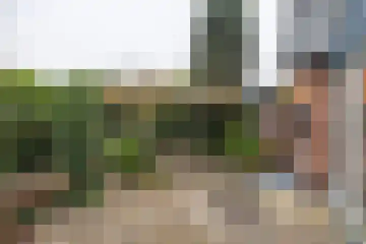 Graaf van Lyndenlaan 3 Barneveld thumbnail 31