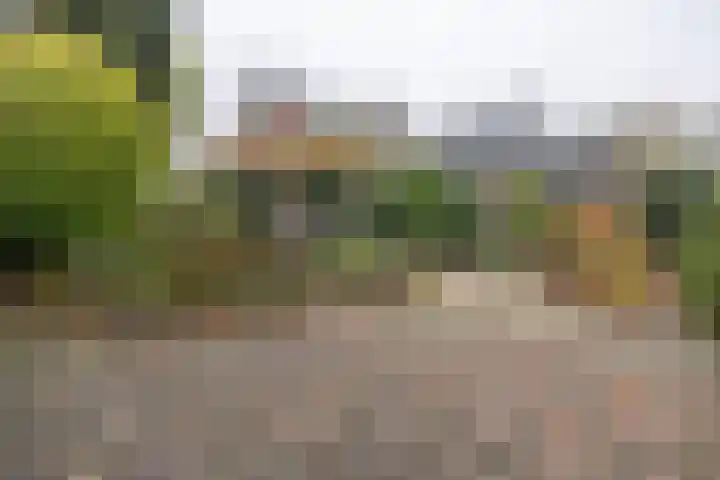 Graaf van Lyndenlaan 3 Barneveld thumbnail 34