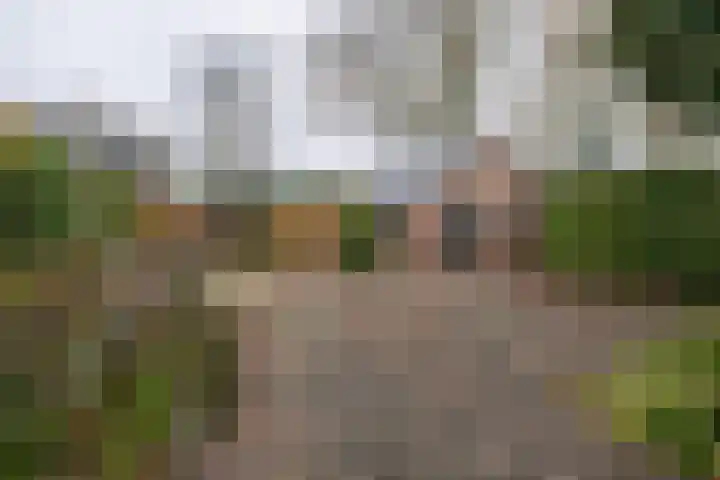 Graaf van Lyndenlaan 3 Barneveld thumbnail 35