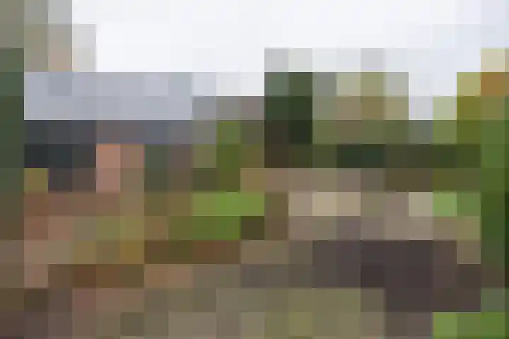 Graaf van Lyndenlaan 3 Barneveld thumbnail 36