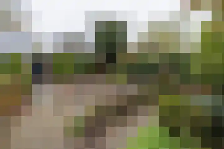 Graaf van Lyndenlaan 3 Barneveld thumbnail 37