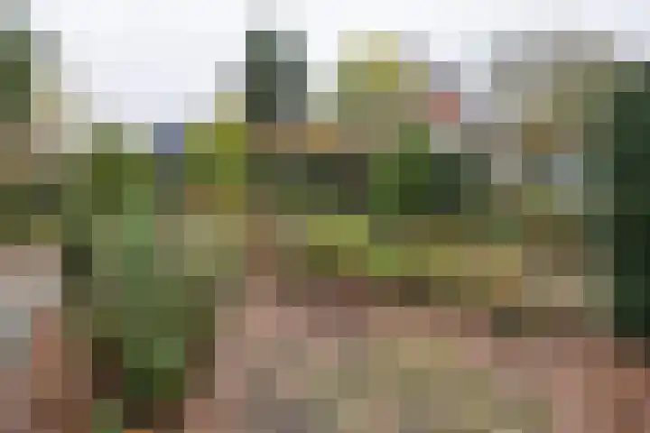 Graaf van Lyndenlaan 3 Barneveld thumbnail 41