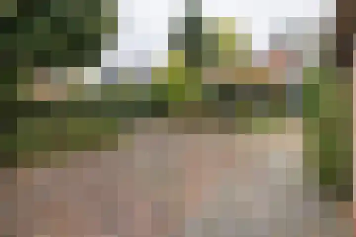 Graaf van Lyndenlaan 3 Barneveld thumbnail 42
