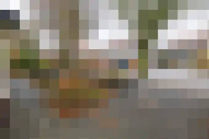 Graaf van Lyndenlaan 3 Barneveld thumbnail 45
