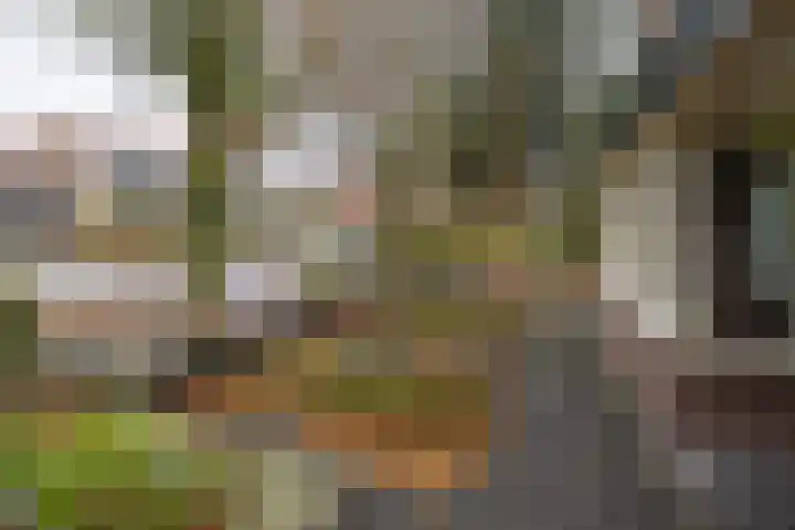 Graaf van Lyndenlaan 3 Barneveld thumbnail 47