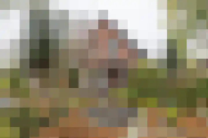 Graaf van Lyndenlaan 3 Barneveld thumbnail 48