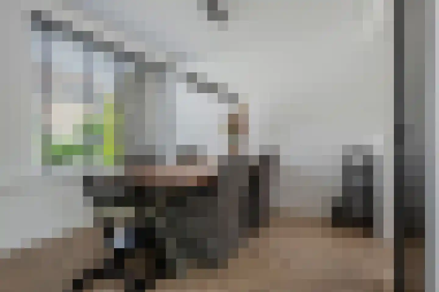 Graaf van Lyndenlaan 40 Barneveld thumbnail 14