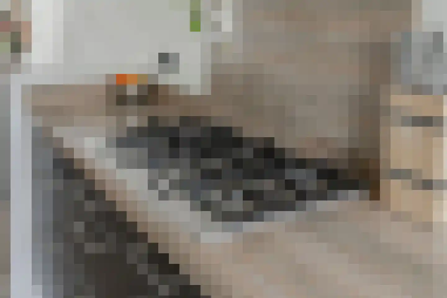 Graaf van Lyndenlaan 40 Barneveld thumbnail 19