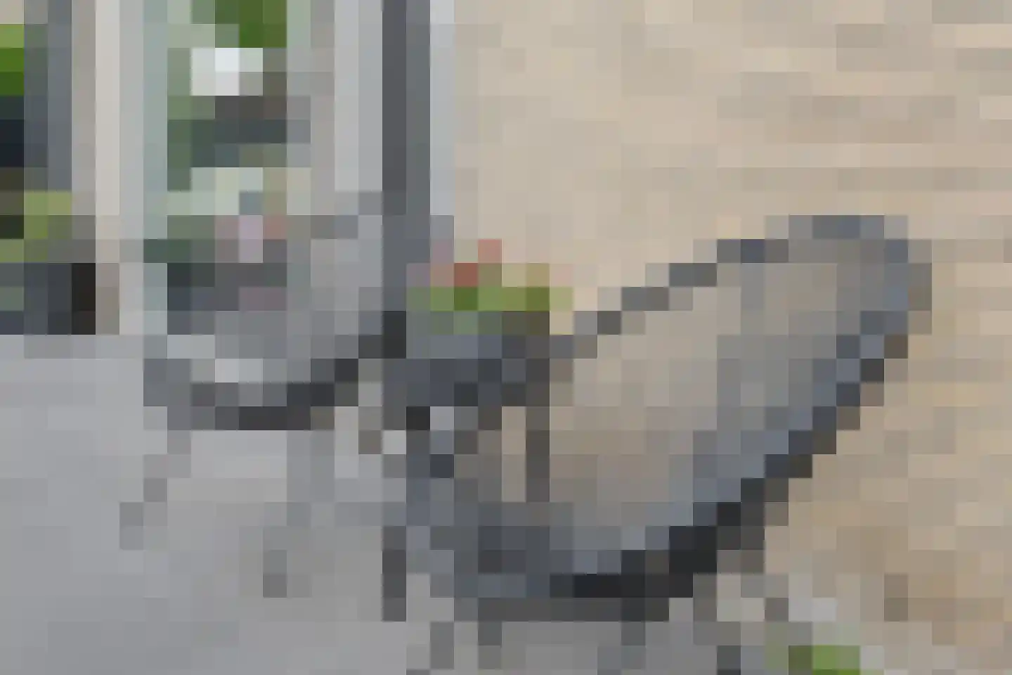 Graaf van Lyndenlaan 40 Barneveld thumbnail 38