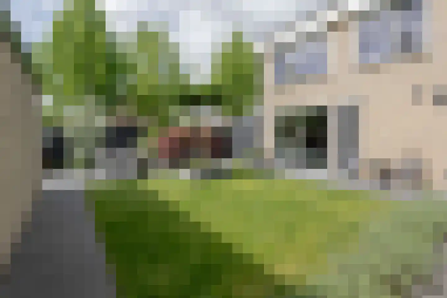 Graaf van Lyndenlaan 40 Barneveld thumbnail 42