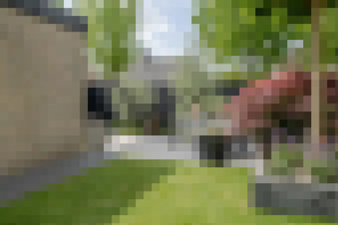 Graaf van Lyndenlaan 40 Barneveld thumbnail 43