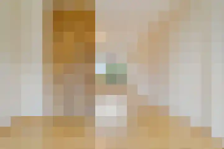 Graaf van Rechterenstraat 10 Raalte thumbnail 17
