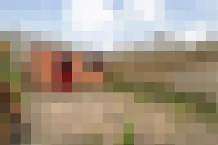 Graaf van Rechterenstraat 10 Raalte thumbnail 29