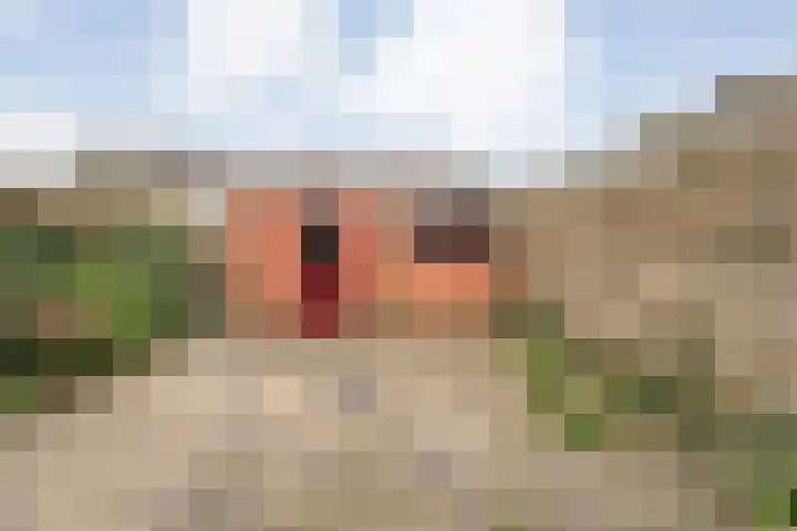 Graaf van Rechterenstraat 10 Raalte thumbnail 30