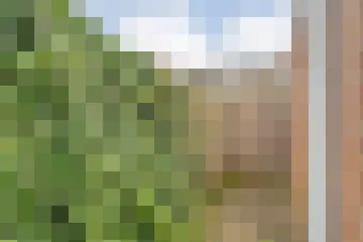 Graaf van Rechterenstraat 10 Raalte thumbnail 31