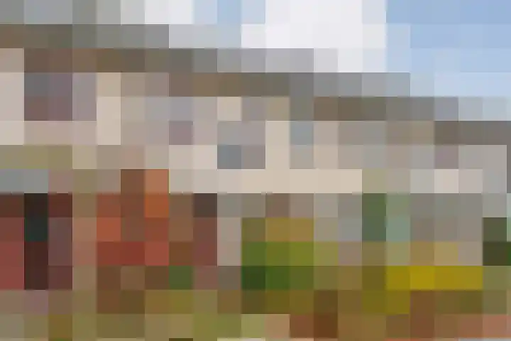 Graaf van Rechterenstraat 10 Raalte thumbnail 4