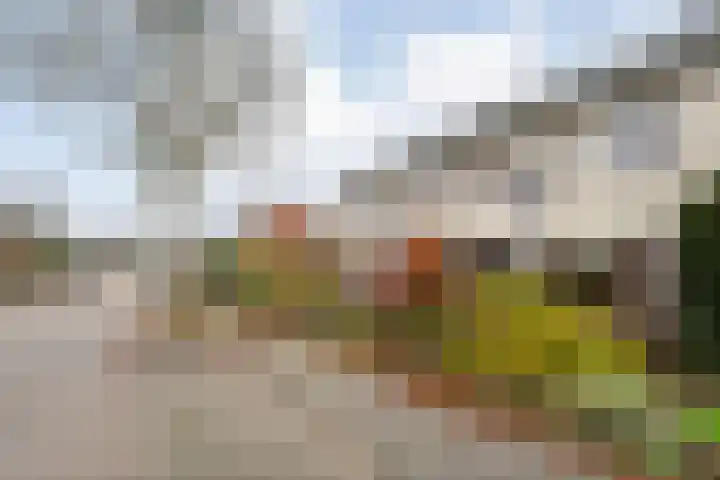 Graaf van Rechterenstraat 10 Raalte thumbnail 5