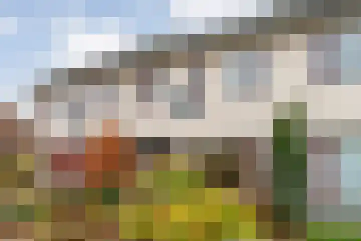 Graaf van Rechterenstraat 10 Raalte thumbnail 6