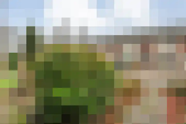 Graaf van Rechterenstraat 10 Raalte thumbnail 7