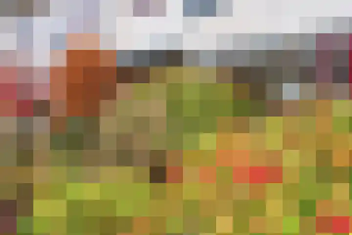 Graaf van Rechterenstraat 10 Raalte thumbnail 8