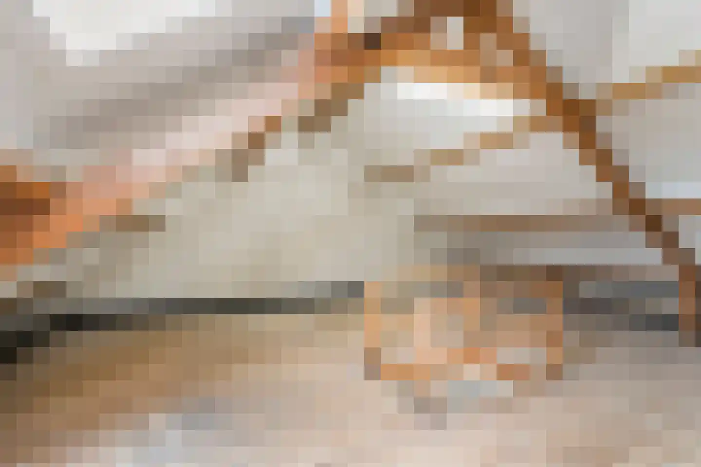 Graaf van Rechterenstraat 18 Raalte thumbnail 31