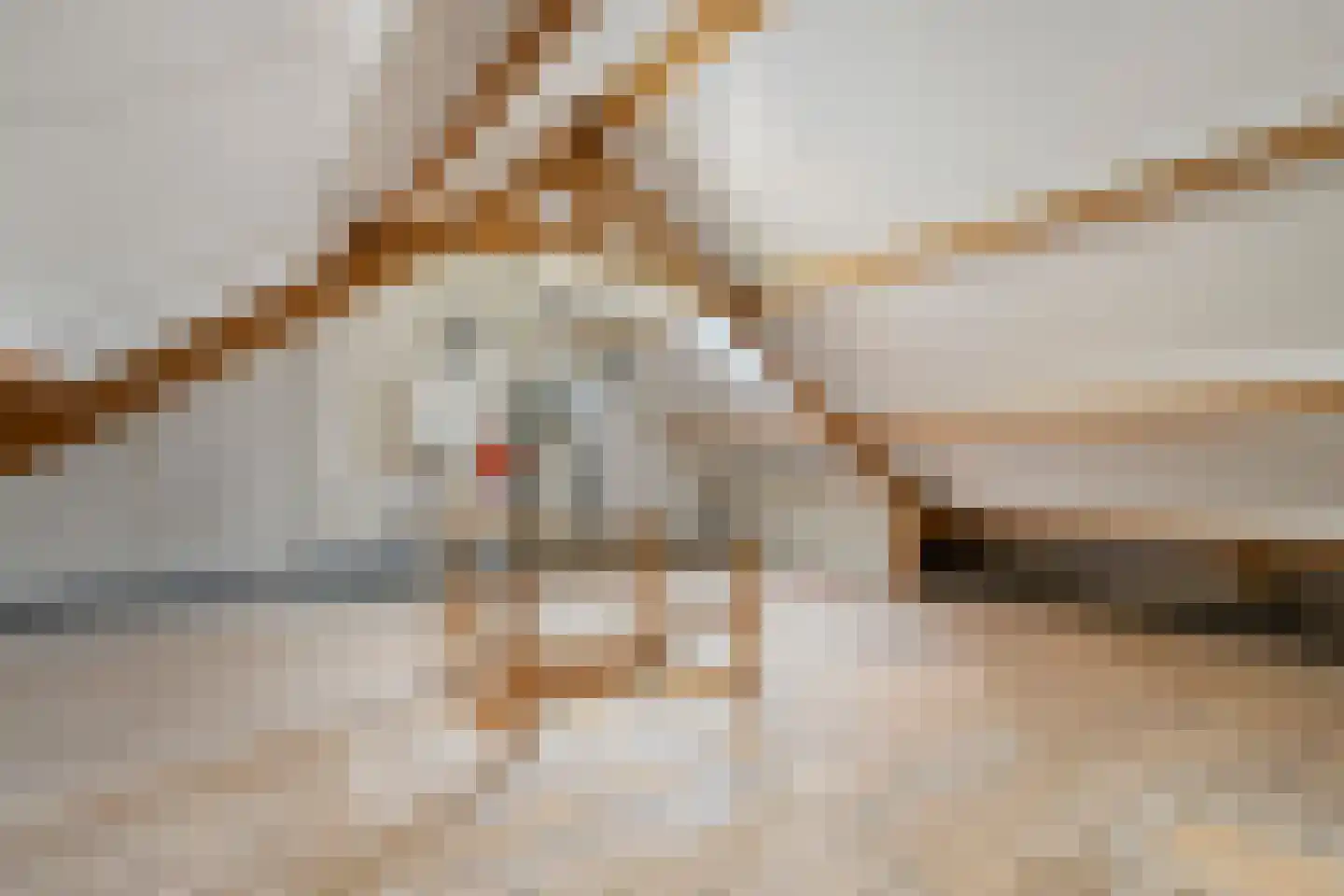 Graaf van Rechterenstraat 18 Raalte thumbnail 32