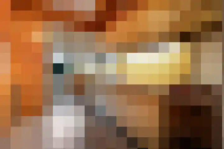 Graaf van Rechterenstraat 8 Raalte thumbnail 12