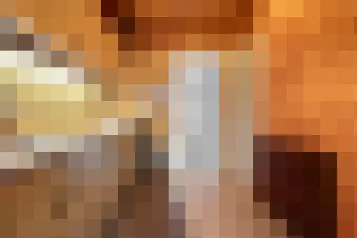 Graaf van Rechterenstraat 8 Raalte thumbnail 13
