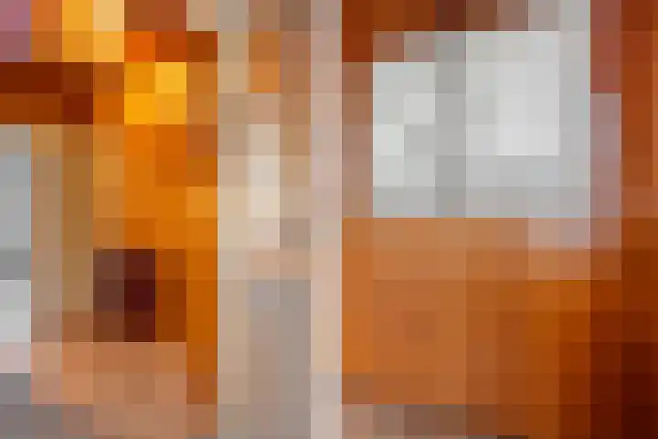 Graaf van Rechterenstraat 8 Raalte thumbnail 15