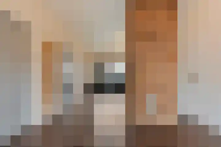Graaf van Rechterenstraat 8 Raalte thumbnail 19