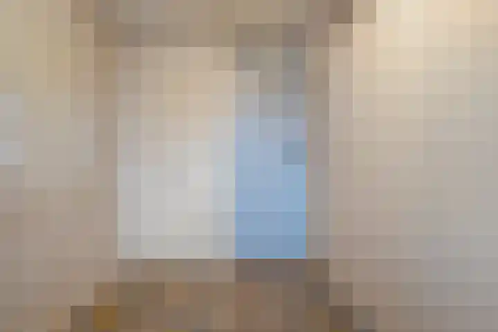 Graaf van Rechterenstraat 8 Raalte thumbnail 22