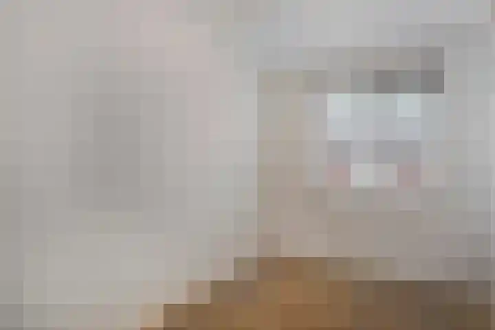 Graaf van Rechterenstraat 8 Raalte thumbnail 27