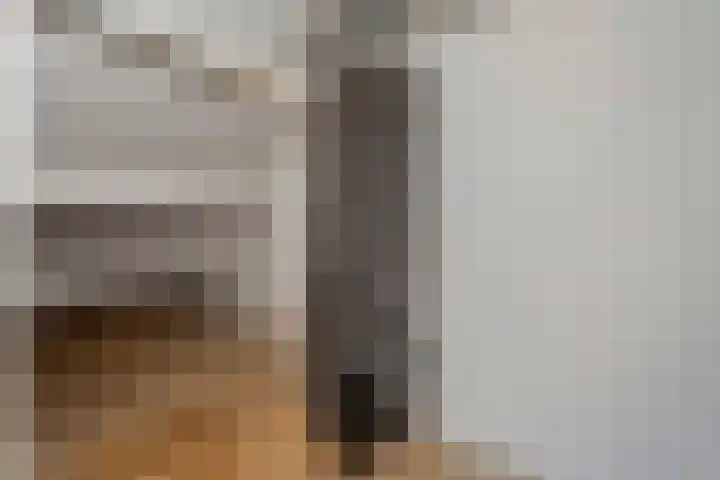 Graaf van Rechterenstraat 8 Raalte thumbnail 31