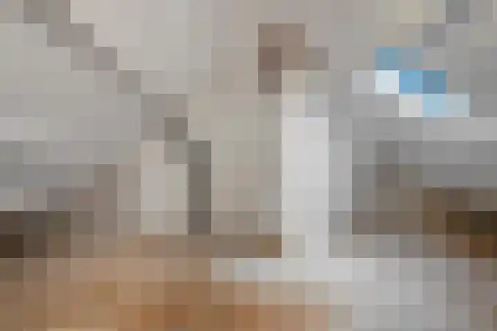 Graaf van Rechterenstraat 8 Raalte thumbnail 33