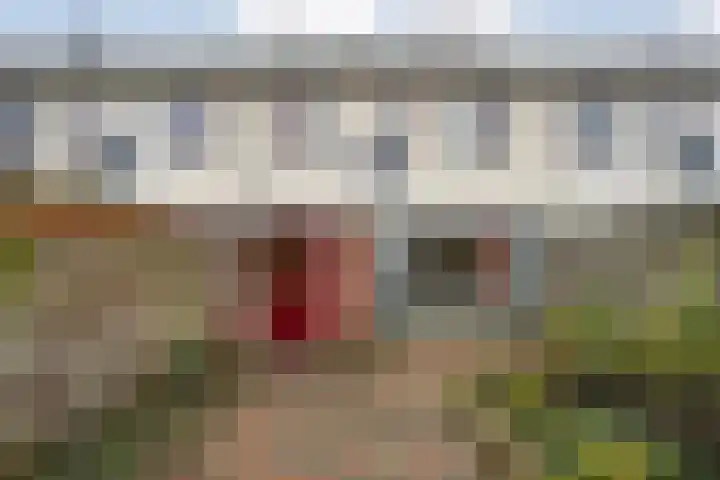 Graaf van Rechterenstraat 8 Raalte thumbnail 35