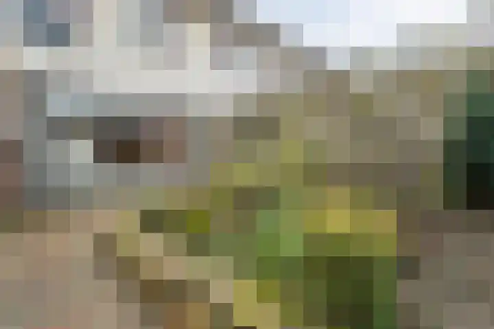Graaf van Rechterenstraat 8 Raalte thumbnail 36