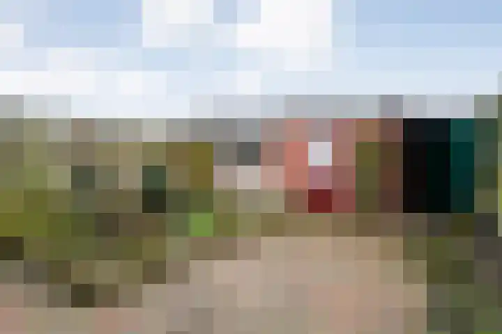 Graaf van Rechterenstraat 8 Raalte thumbnail 37