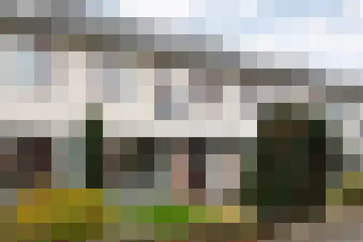Graaf van Rechterenstraat 8 Raalte thumbnail 6