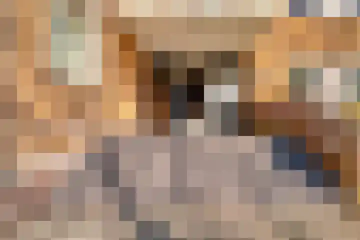 Graaf van Rechterenweg 1 V Oosterbeek thumbnail 8